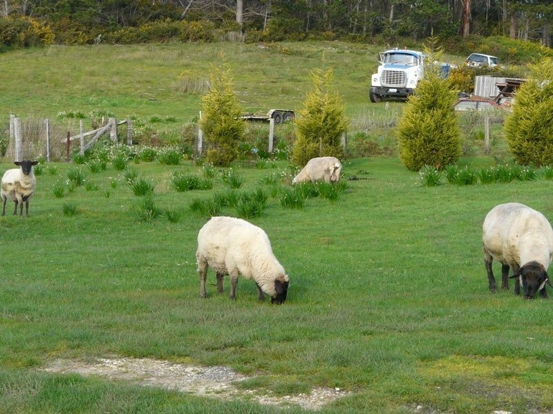 145 Shaw Street, Lefroy TAS 7252