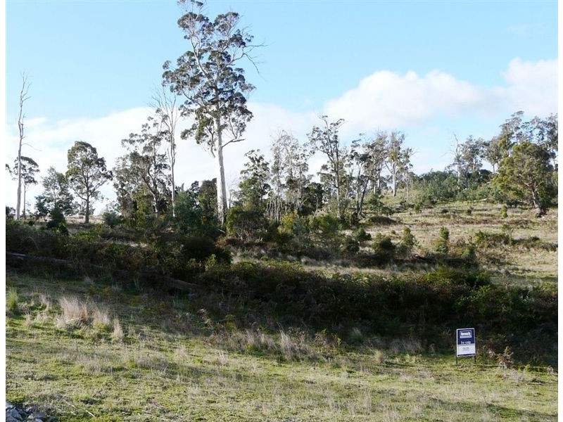 67 Sherborne Drive, Dilston TAS 7252