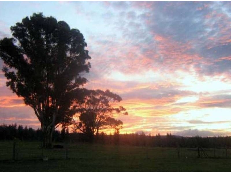 2557 Pipers River Road, Pipers River TAS 7252