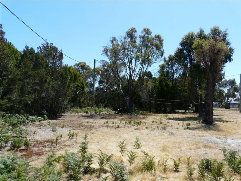 6 Miller Street, Weymouth TAS 7252