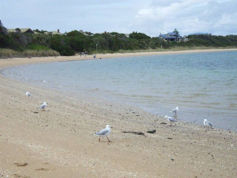 Lot 1 – 17 Leads Avenue, Low Head TAS 7253