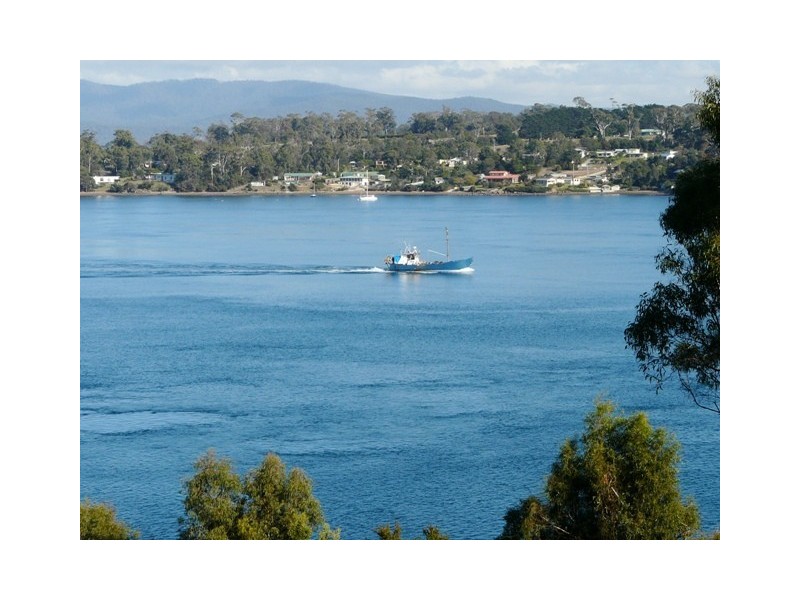 50 Tamar Avenue, George Town TAS 7253