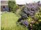 36 Bathurst Street, George Town TAS 7253