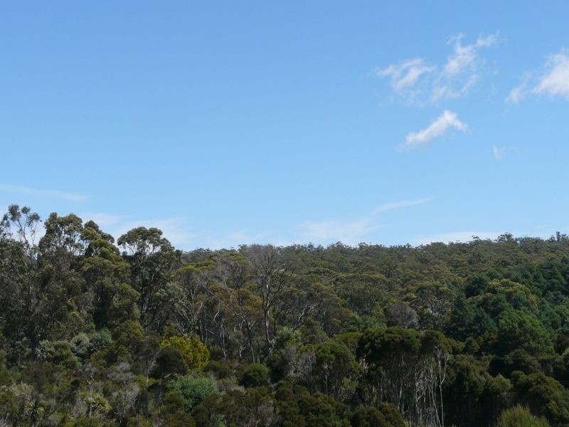 Lot 1 Richards Street, Lefroy TAS 7252