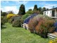 81-83 Main Road, George Town TAS 7253