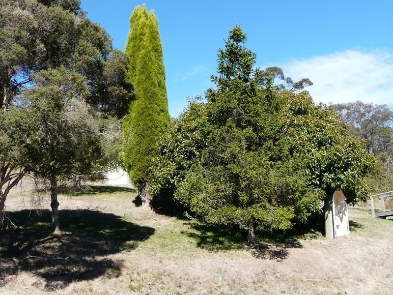 90 Dalrymple Road, Mount Direction TAS 7252