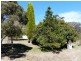 90 Dalrymple Road, Mount Direction TAS 7252