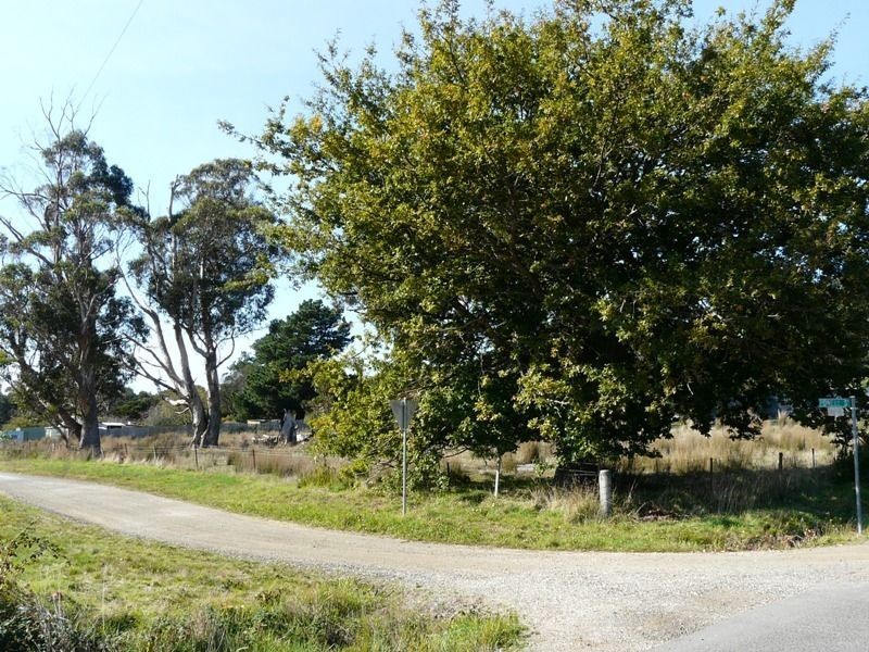 32 Shaw Street, Lefroy TAS 7252