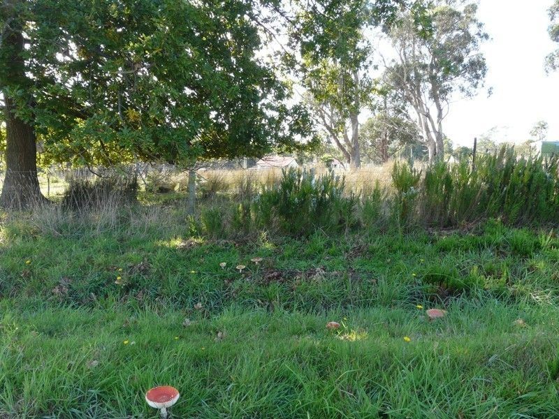 32 Shaw Street, Lefroy TAS 7252