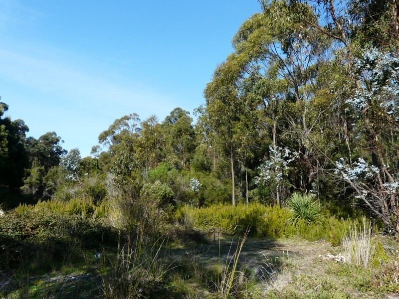 6 Denison Street, Lefroy TAS 7252