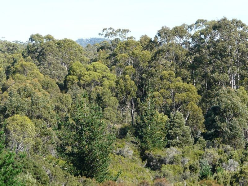 6 Denison Street, Lefroy TAS 7252