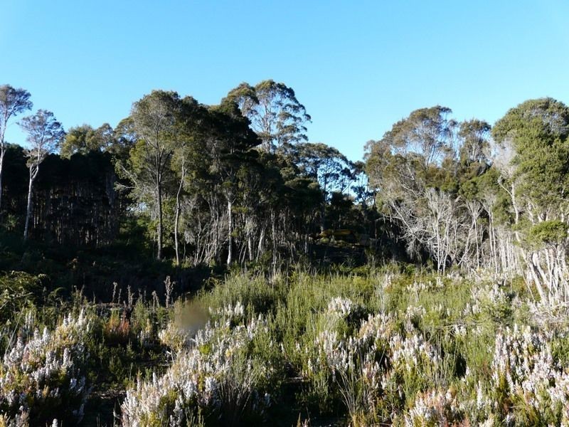 1 Dension Street, Lefroy TAS 7252