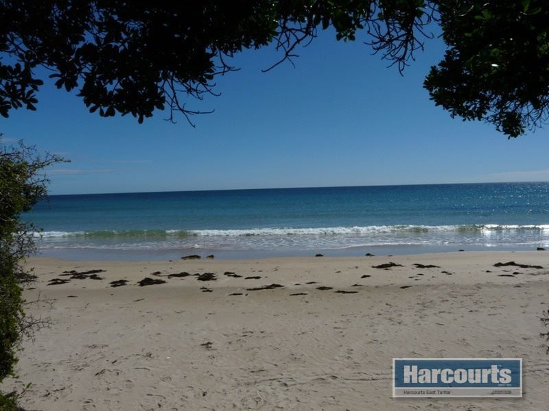Lot 3 Bell Buoy Beach Road, Low Head TAS 7253