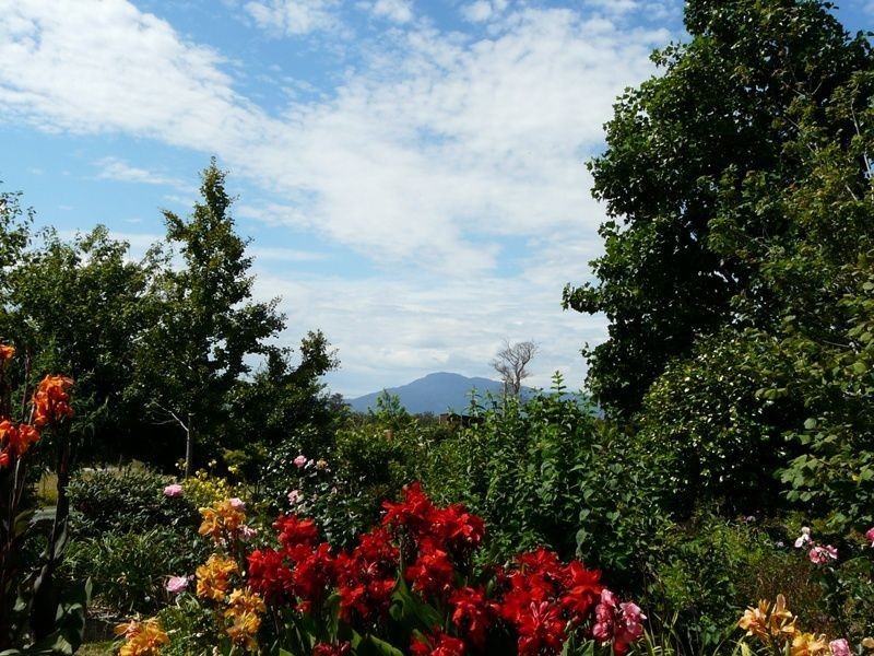 1838 Pipers River Road, Karoola TAS 7267