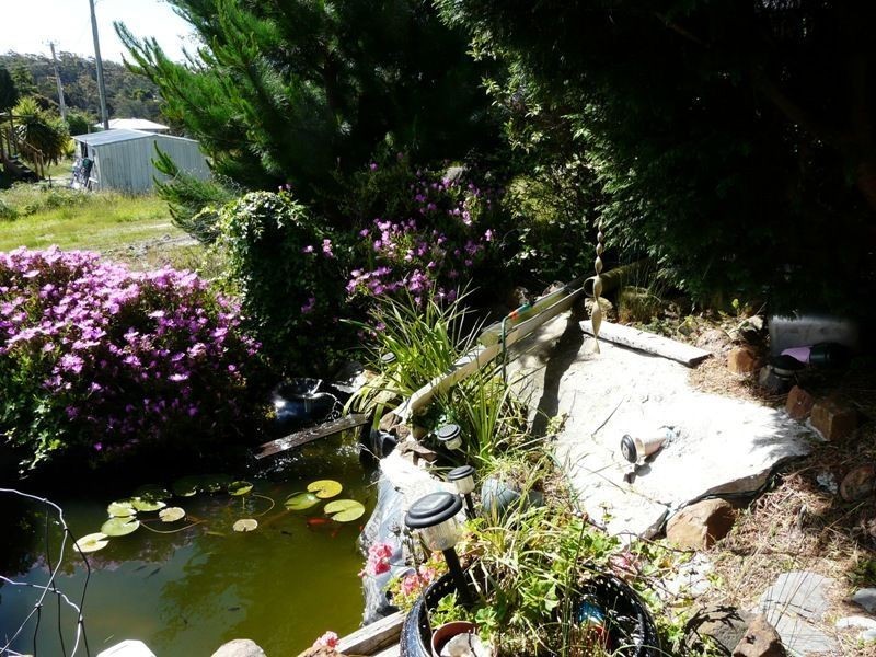 19 Richards Street, Lefroy TAS 7252