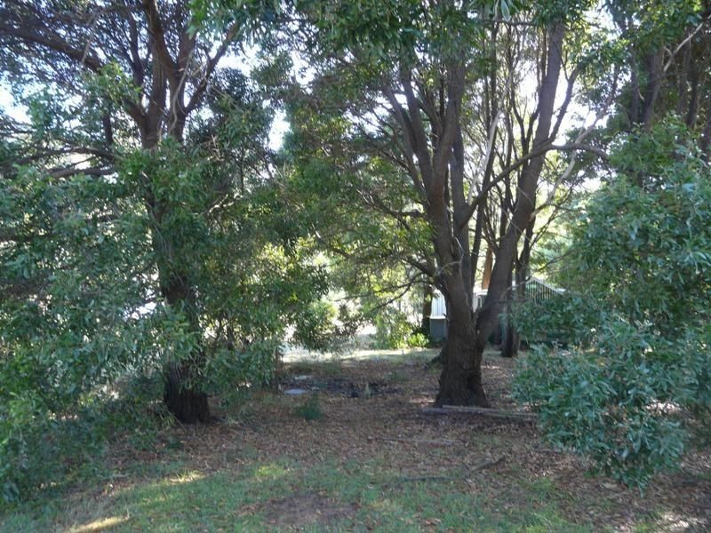 4 Shaw Street, Lefroy TAS 7252