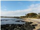 5 Bush Haven Drive, Lulworth TAS 7252