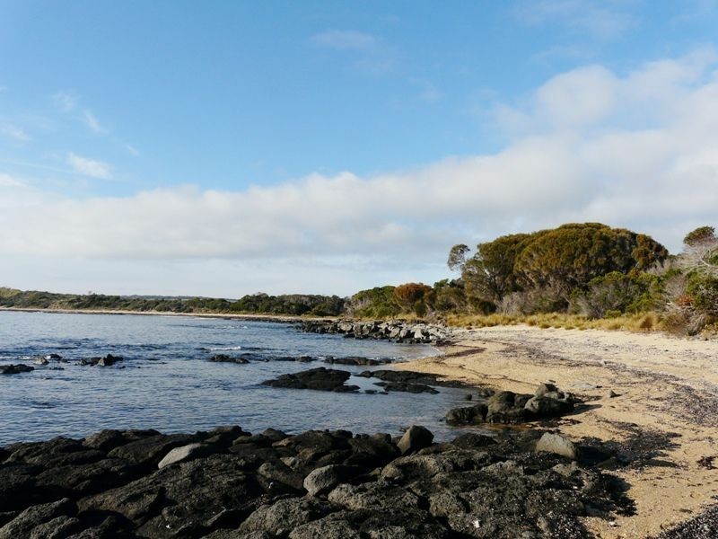 5 Bush Haven Drive, Lulworth TAS 7252