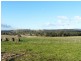 Lot 1 Industry Road, Pipers River TAS 7252