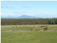 Lot 1 Industry Road, Pipers River TAS 7252