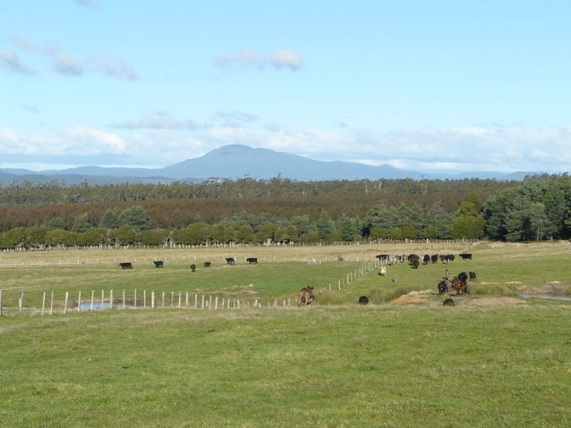 Lot 1 Industry Road, Pipers River TAS 7252