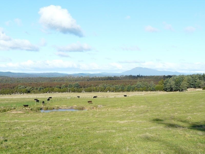 Lot 1 Industry Road, Pipers River TAS 7252