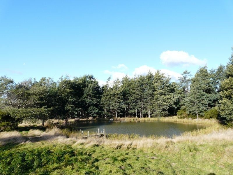 Lot 1 Industry Road, Pipers River TAS 7252