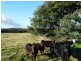 Lot 1 Industry Road, Pipers River TAS 7252