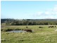 Lot 1 Industry Road, Pipers River TAS 7252