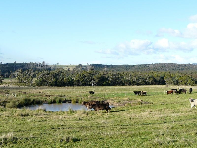 Lot 1 Industry Road, Pipers River TAS 7252