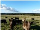 Lot 1 Industry Road, Pipers River TAS 7252