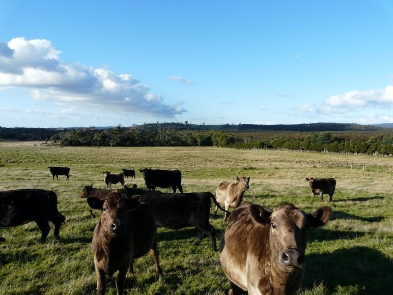 Lot 1 Industry Road, Pipers River TAS 7252