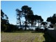 908 Windermere Road, Windermere TAS 7252