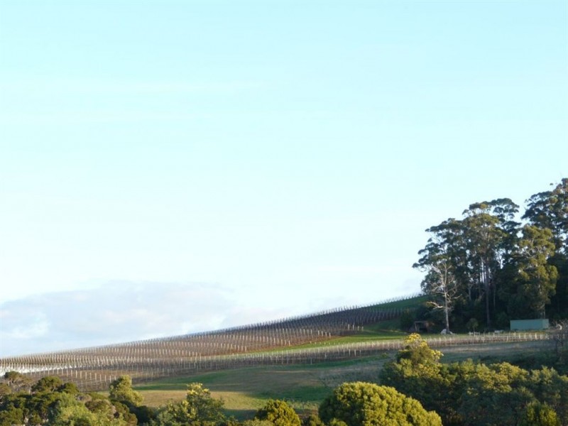 4034 Bridport Road, Pipers Brook TAS 7254