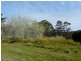 11 Richard Street, Lefroy TAS 7252