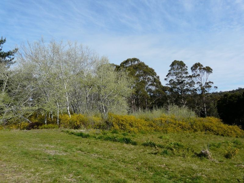 11 Richard Street, Lefroy TAS 7252