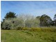 11 Richard Street, Lefroy TAS 7252