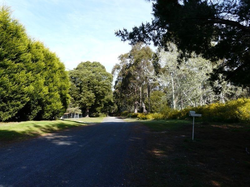 11 Richard Street, Lefroy TAS 7252
