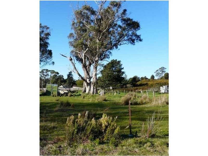 30 Shaw Street, Lefroy TAS 7252