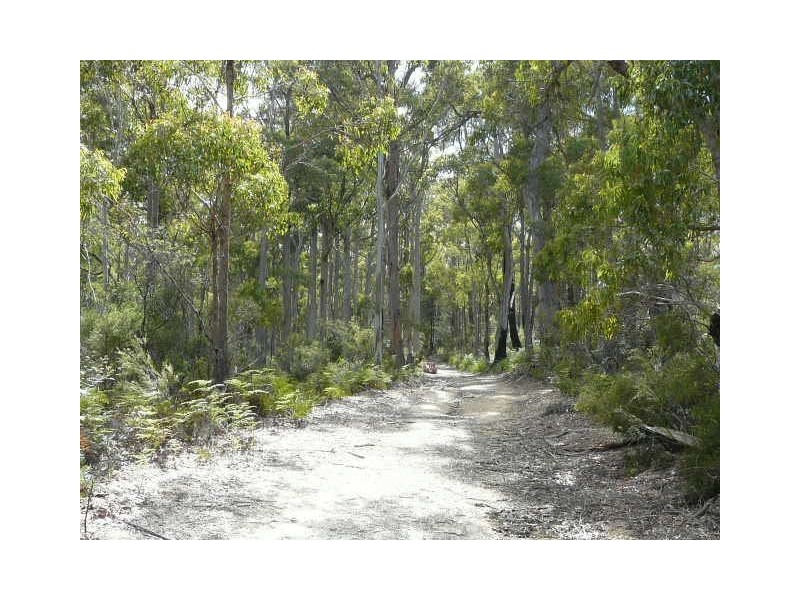 29 Big Hill Road, Lefroy TAS 7252