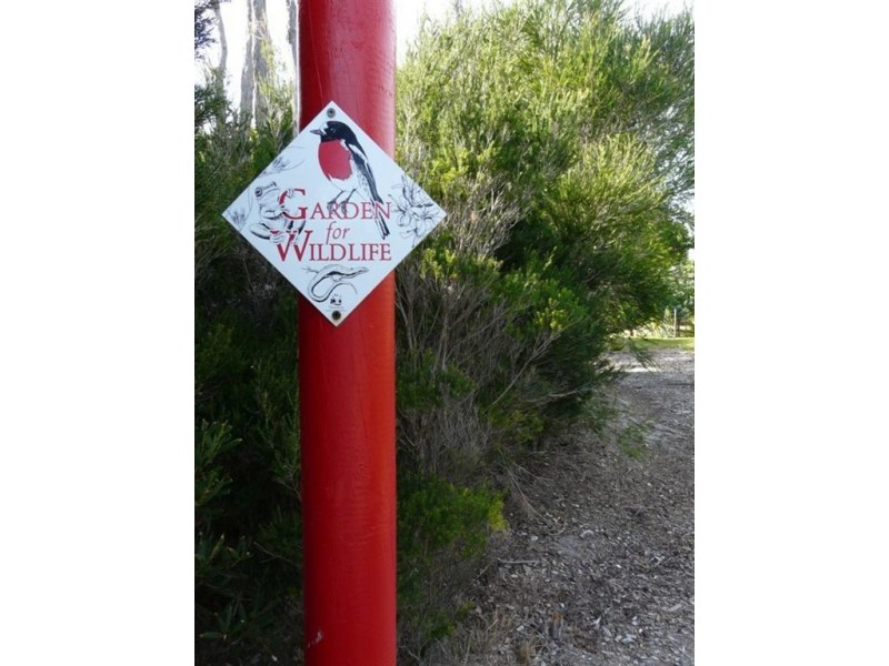 135 Bell Buoy Beach Road, Low Head TAS 7253