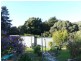 6 Shaw Street, Lefroy TAS 7252