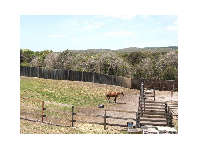 202 Gees Marsh Road, Bellingham TAS 7254