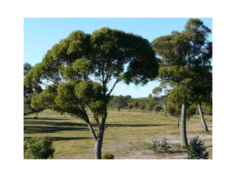 45 Gees Marsh Road, Bellingham TAS 7254