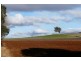 5457 Bridport Road, Pipers River TAS 7252