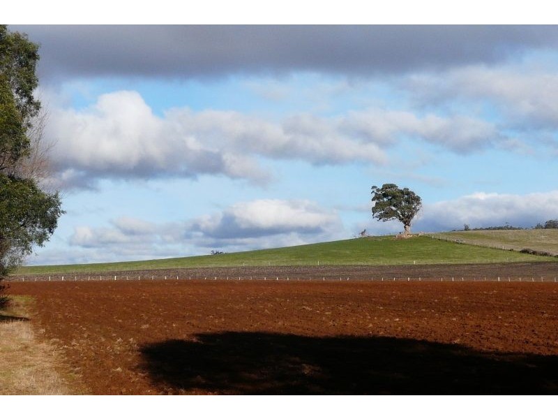 5457 Bridport Road, Pipers River TAS 7252