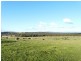 5457 Bridport Road, Pipers River TAS 7252
