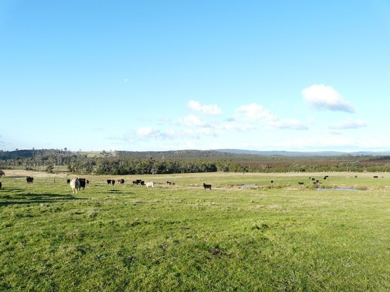 5457 Bridport Road, Pipers River TAS 7252