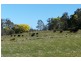 34 Youngs Road, Mount Direction TAS 7252