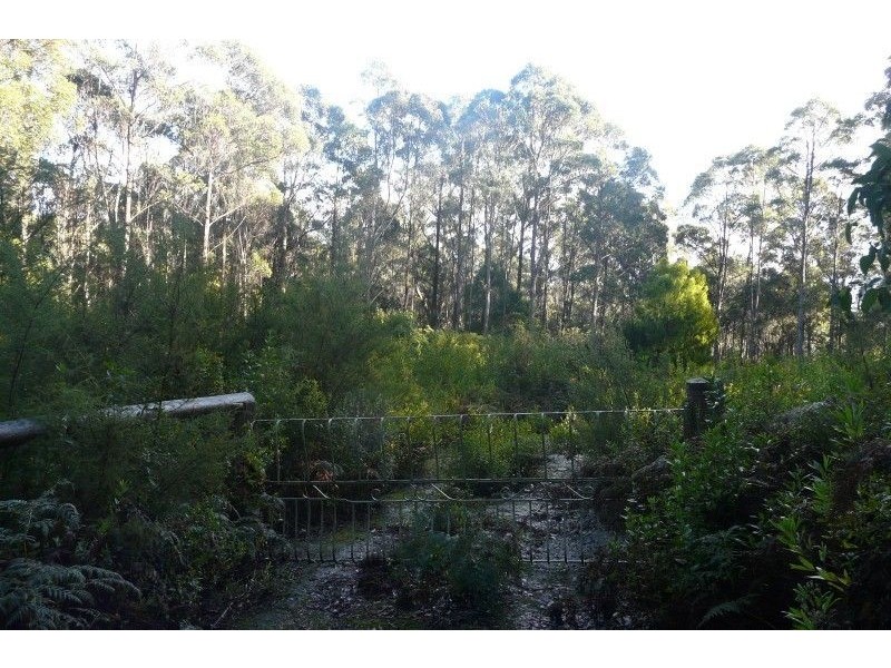 335 Smiths Gully Road, Pipers River TAS 7252